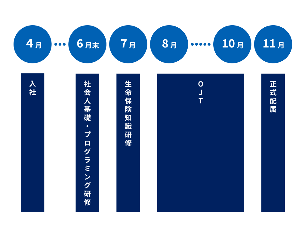 入社後の流れのイメージ
